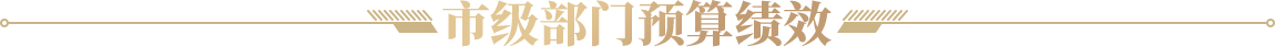 市级部门预算绩效